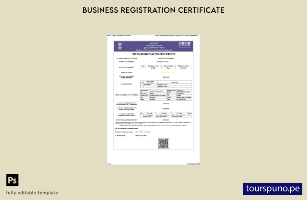 listo para imprimir Certificado de registro de India Udyam Plantilla de Word y 5